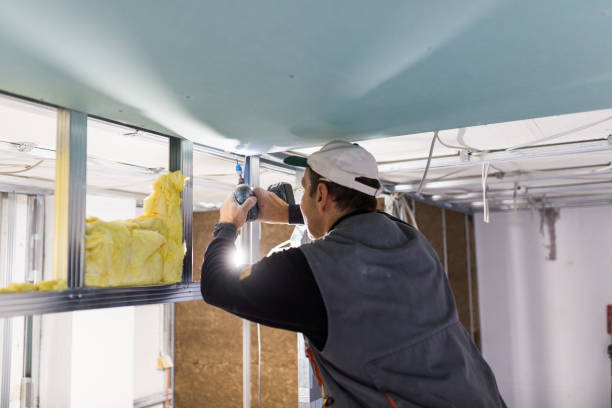 Best Cellulose Insulation in Cresskill, NJ